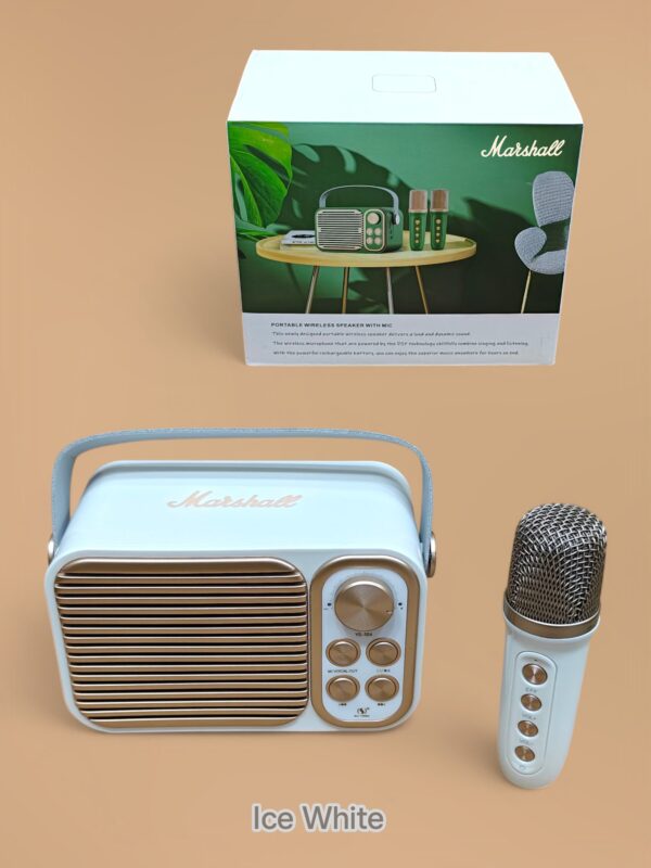 Marshall Speakers